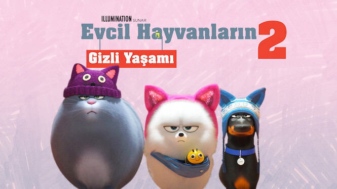 Evcil Hayvanlarin Gizli Yasami 2 2019 Netflix Flixable